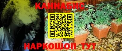 мдпв Ставрополь