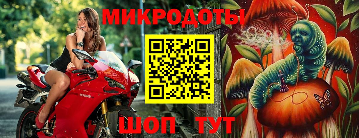 Псилоцибиновые грибы мухоморы Петрозаводск