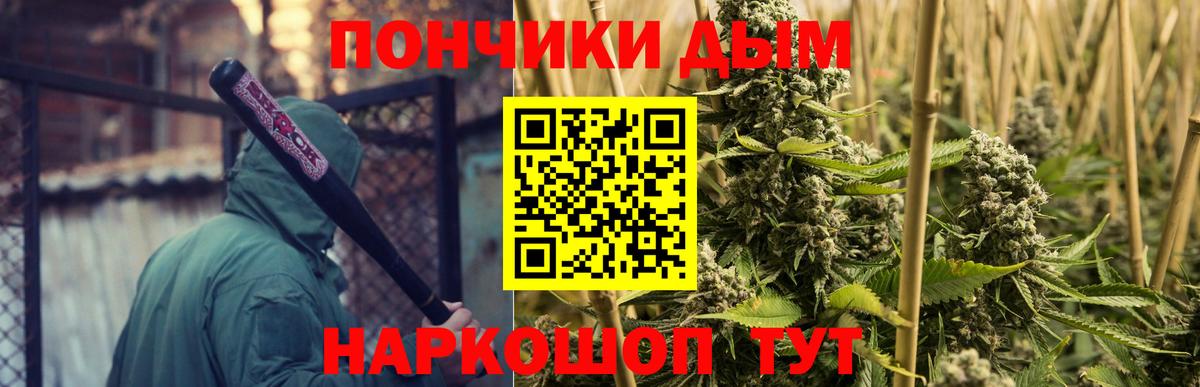 Бошки Шишки ГИДРОПОН Петрозаводск